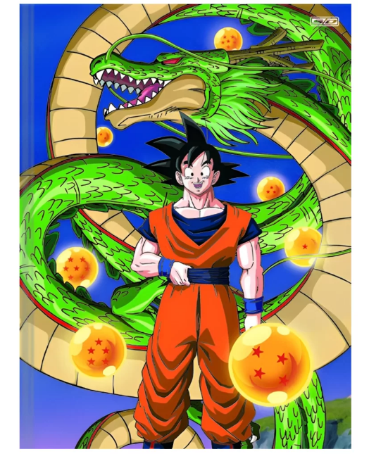 Caderno Cartografia Desenho Capa Dura Costurado Dragon Ball - Capa D - São  Domingos