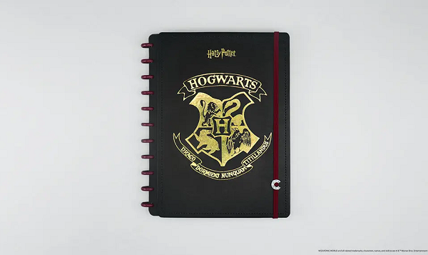 A imagem pode conter: texto  Corvinal, Hogwarts, Fatos de harry potter