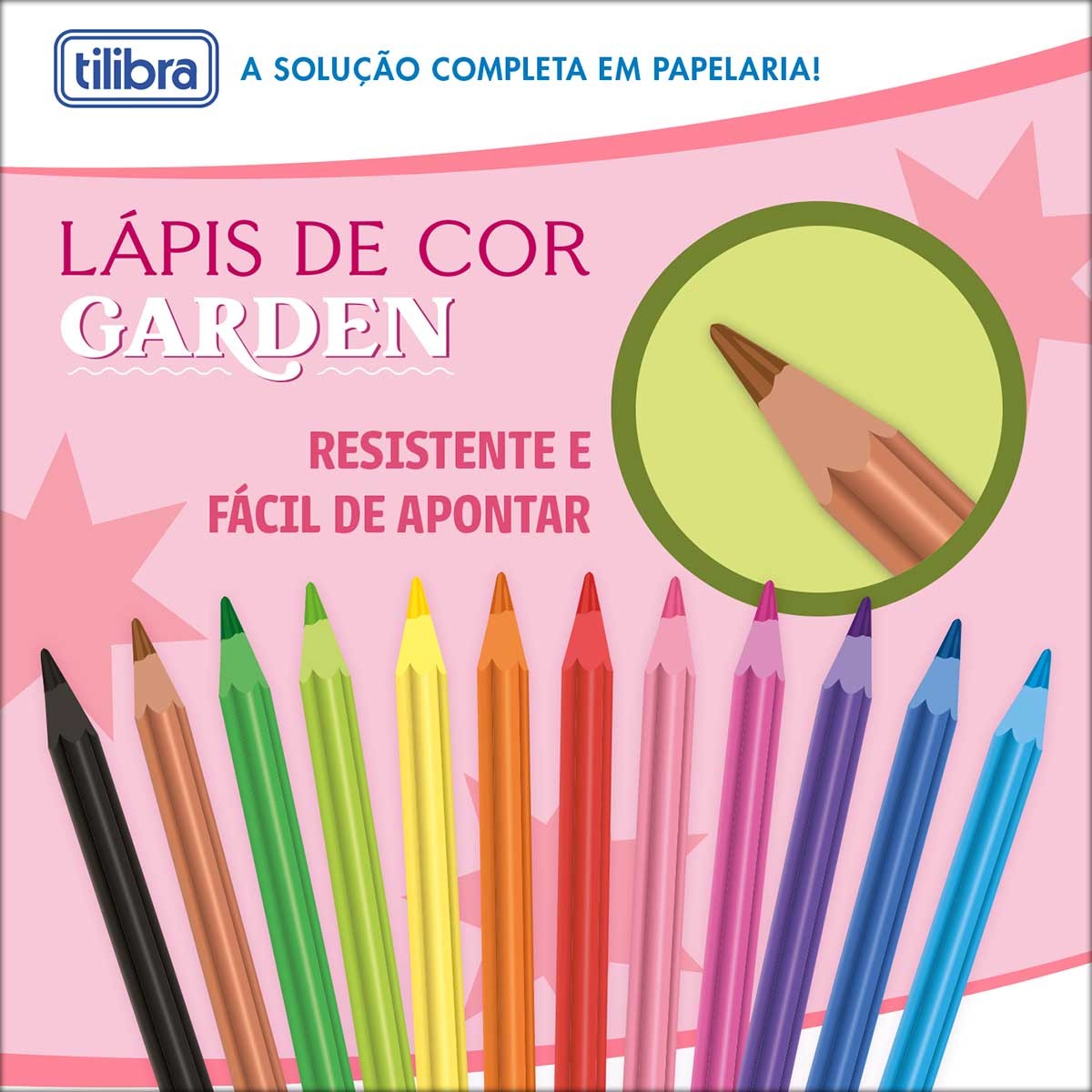 lapis-de-cor-flores-12-cores-sextavado_401561-95