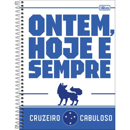 caderno-espiral-capa-dura-universitario-1-materia-cruzeiro-80-folhas_409073-e1